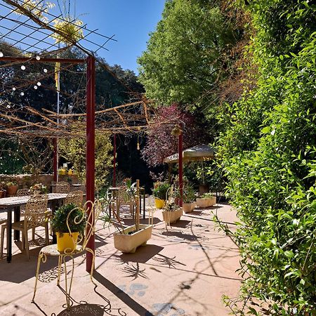 B&B Mas Torrencito Pet Friendly Parets de Ampurdá Extérieur photo
