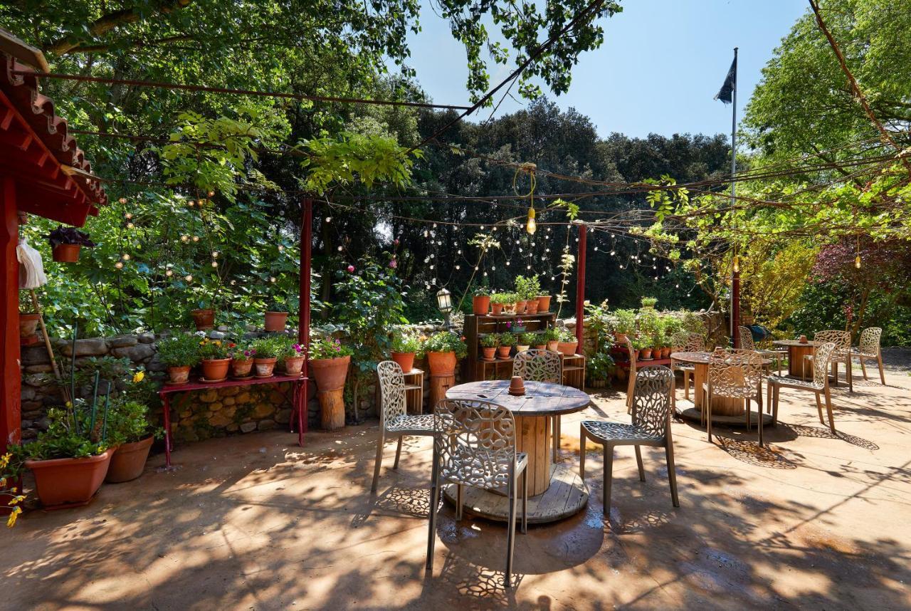 B&B Mas Torrencito Pet Friendly Parets de Ampurdá Extérieur photo