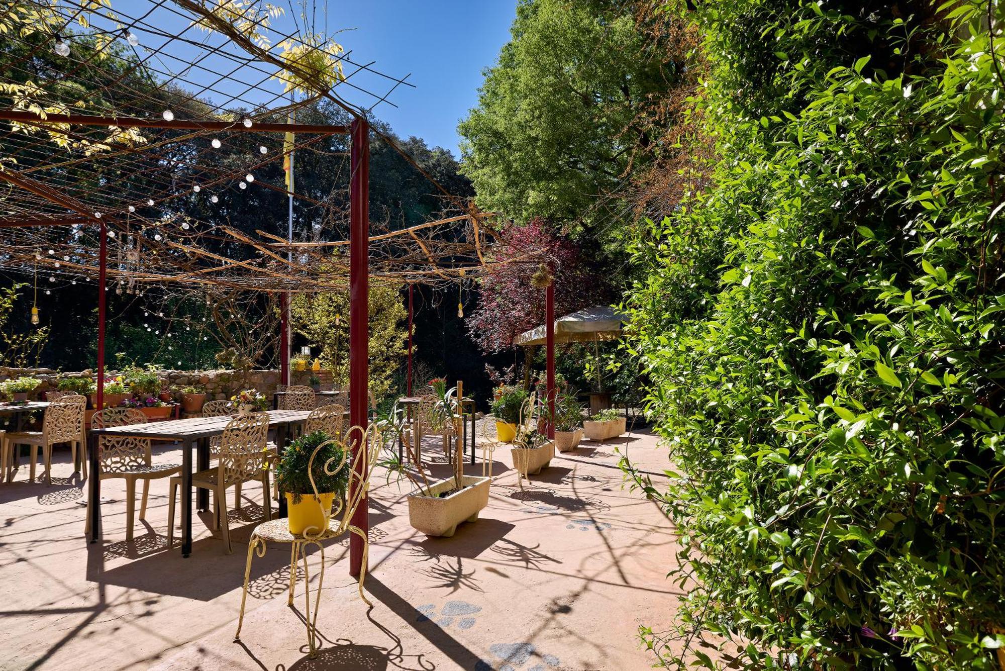 B&B Mas Torrencito Pet Friendly Parets de Ampurdá Extérieur photo
