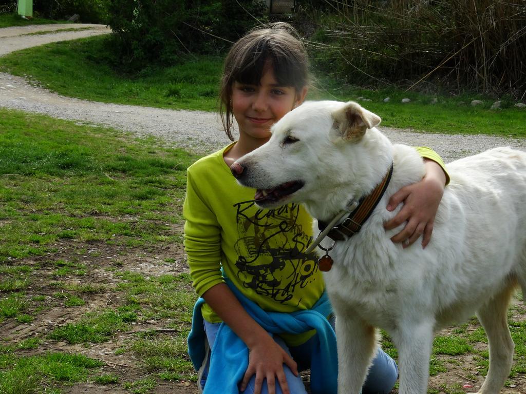 B&B Mas Torrencito Pet Friendly Parets de Ampurdá Extérieur photo