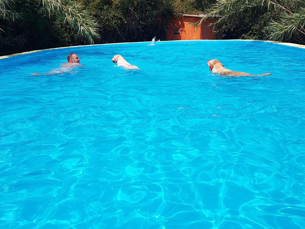 B&B Mas Torrencito Pet Friendly Parets de Ampurdá Extérieur photo